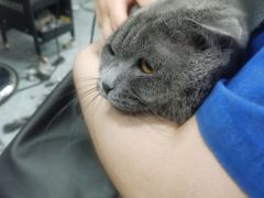 -宠福鑫康馨动物医院·骨科·眼科