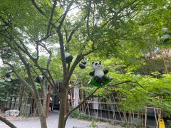 -苏州太湖国家湿地公园