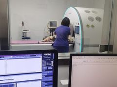-北京观赏动物医院·24小时大型综合·猫专科·异宠专科