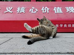 -张学良旧居陈列馆