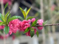 -观宴·品质赣菜(高新大道店)