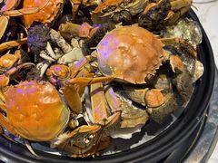 -半岛听涛蒸汽海鲜自助(K11店)