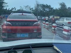 -常来老白莲鹅饭店(老城店)