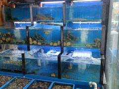 水产区-老东镇啤酒屋海鲜加工·蒸汽海鲜·海鲜烧烤(台东店)