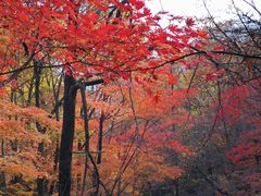 -丹东天桥沟景区