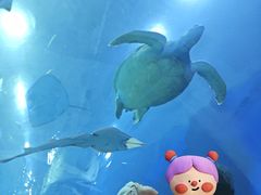 -成都浩海立方海洋公园