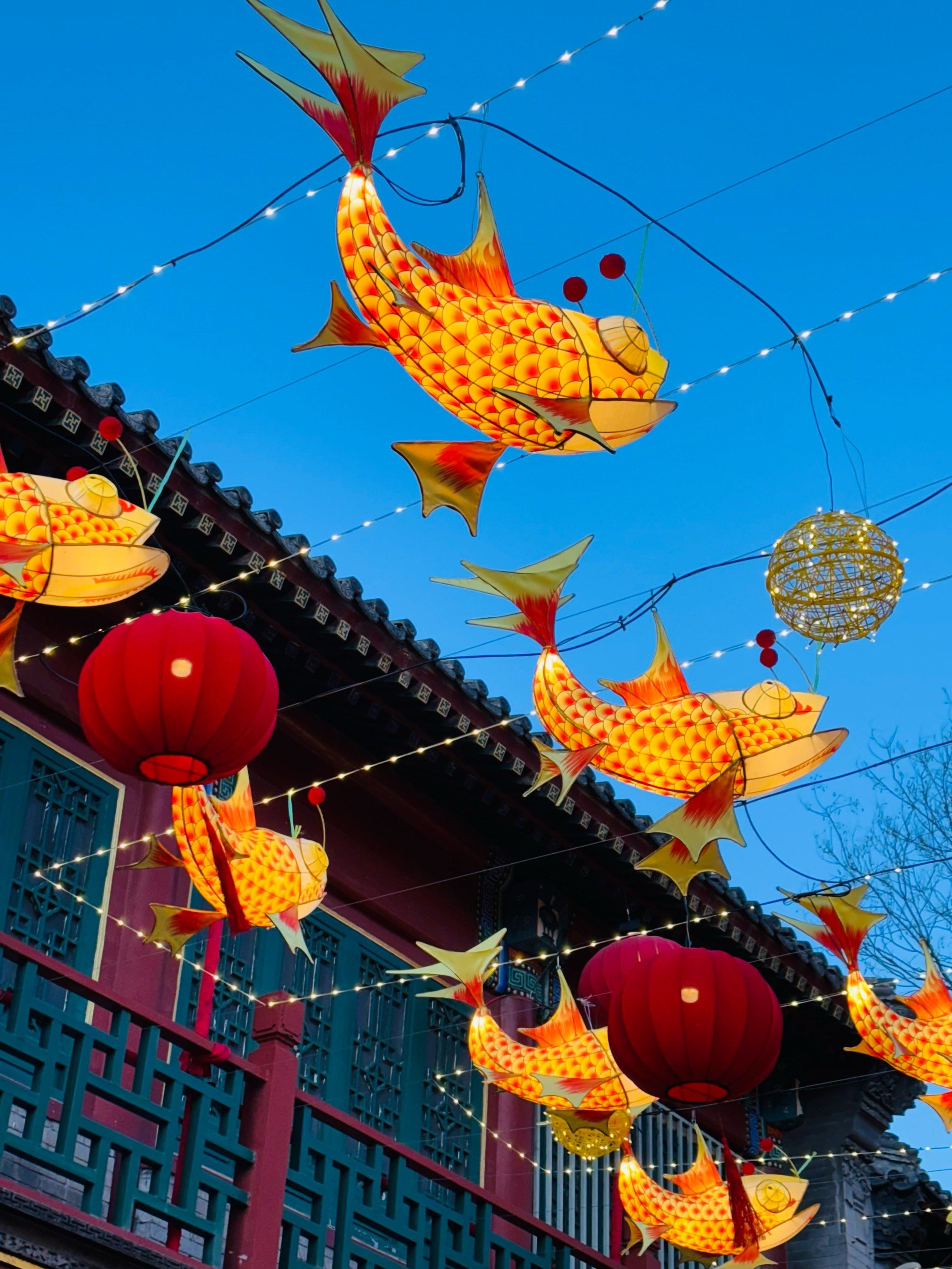 灯笼高挂迎佳节