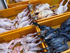 鸡-江杨农产品批发市场