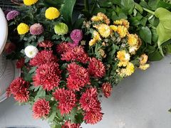 -何兮花店·气球派对鲜花店(马桥银春路万科城店)