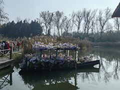 -溱湖国家湿地公园