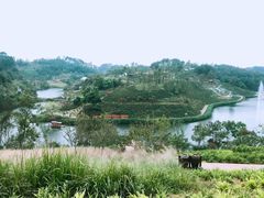 -黄龙溪欢乐田园