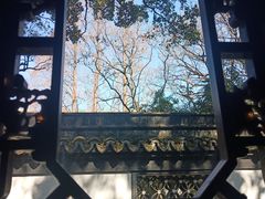 -上海醉白池公园