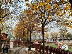 -盈香心动乐园