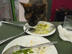 -EATALIA意塔利意式餐厅(鼓楼店)