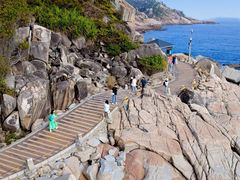 -广东惠东海龟国家级自然保护区