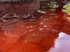-碧水湾温泉
