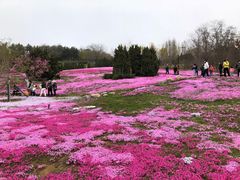 -棒棰岛宾馆景区