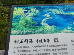 -九寨沟-树正沟