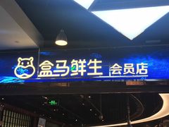 门面-盒马鲜生(大成店)