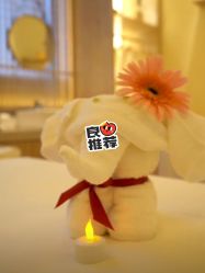 -芳香乐府疗愈空间·SPA·冥想