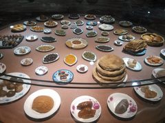 -陕西自然博物馆