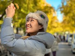-三里屯东五街银杏大道