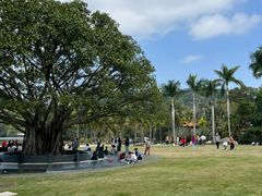 -深圳仙湖植物园