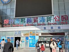 -烟台海昌鲸鲨海洋公园