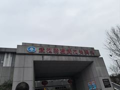 -武汉关码头(轮渡站)