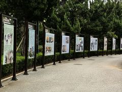 -青岛德国总督楼旧址博物馆