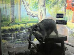 -大连圣亚海洋世界