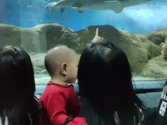 -大连圣亚海洋世界