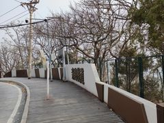 -燕窝岭