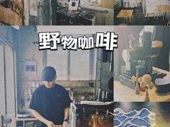 -溪岸路花鸟市场