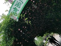 -芜湖方特东方神画