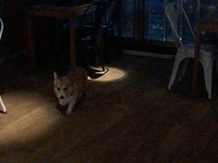 -M-3 PUB(创智天地店)