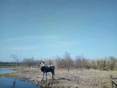景点-溱湖国家湿地公园