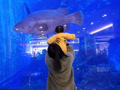 -成都浩海立方海洋公园