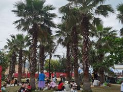 -大梅沙海滨公园