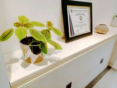 -Onirii Coffee(长乐路店)