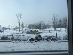 -长白山凯悦酒店·市集咖啡厅