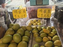 -西双版纳傣族园