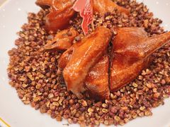 -朱记乳鸽王·非遗石岐乳鸽·全鸽宴(大兴旗舰店)