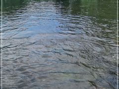-白河湾生态旅游一条川