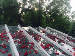 -成桂西餐厅·42年的味道(五大道疙瘩楼店)