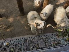 -太原动物园