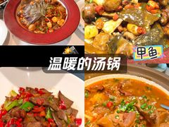 -洞庭家宴·头牌甲鱼(广渠门店)