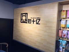 -猫十亿·布偶金渐层·曼基康矮脚猫舍(青年路店)