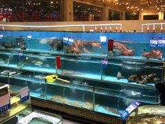 -强记海鲜·大排档(蛇口新街店)