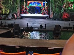 -广州长隆国际大马戏